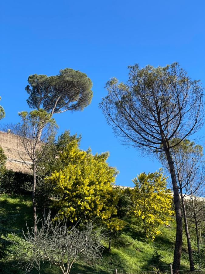 Apartamento Vatican Holidays House Roma